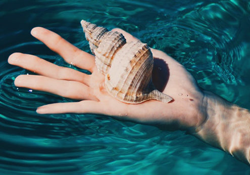 Communication NonViolente