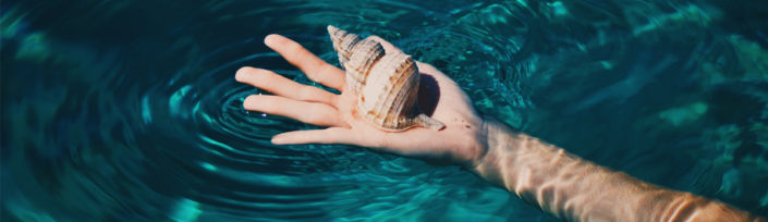 Communication NonViolente