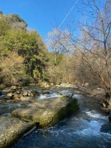 lieu-stage stages à Villeneuve Loubet